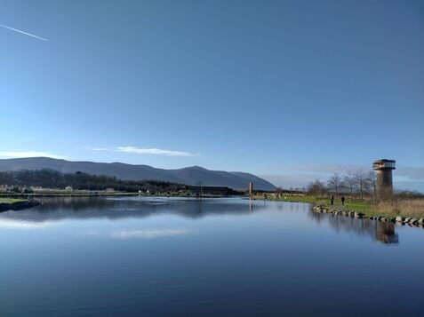 Tralee Wetlands